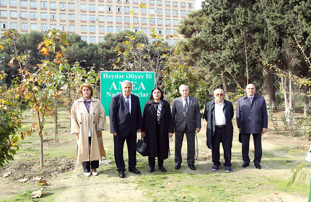 AMEA-nın 80 illik yubileyi ilə əlaqədar Nadir ağaclar parkın...