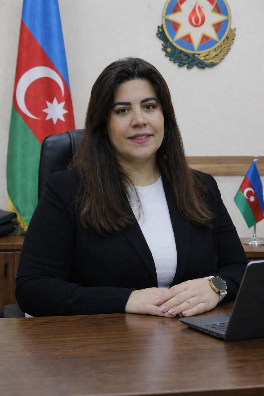 Azərbaycanın rəqəmsal inkişaf strategiyası